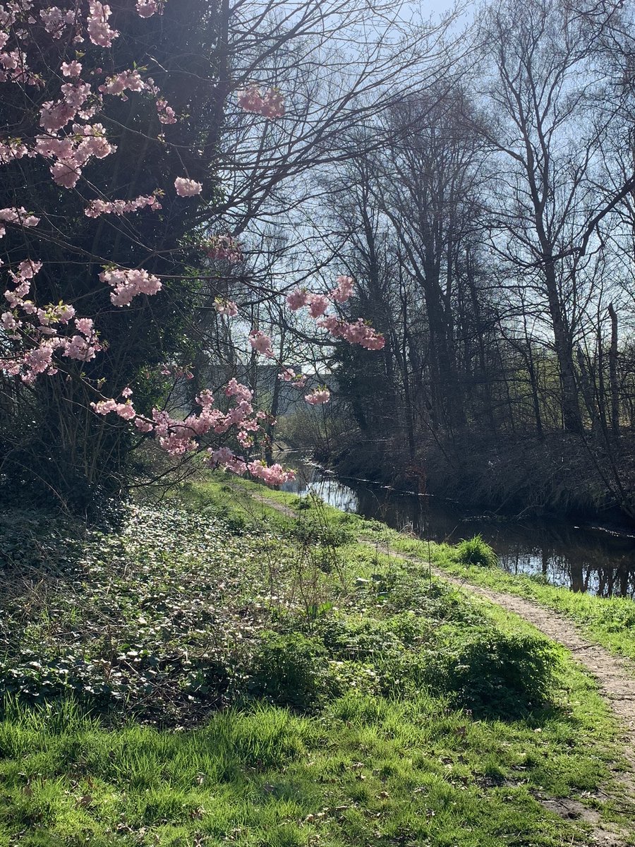 peer0546's tweet photo. Het zou toch mooi zijn als er hier toch een verhard pad zou komen !
#almelo #ookalmelo #mooialmelo #bloessem #NaturePhotography #wandelaars #langsdealmeloseaa #awtd #waterpad https://t.co/XS1CwB0W3Y