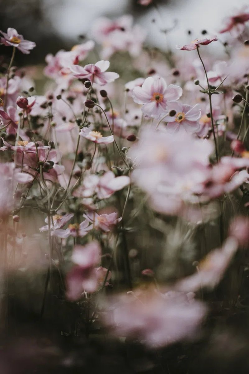 jennymarston_xo's tweet photo. AD // NEW MONTH, NEW MONTHLY ADVERTISERS 🌻✨

I’m thrilled to welcome these incredible bloggers into my advertisers for April!

https://t.co/2m2vwPdcGb @sotonbloggers @LovingBlogs @RTBlogRoyalty @theclique_uk #TheClqRT #cosybloggersclub https://t.co/rminv8voJH