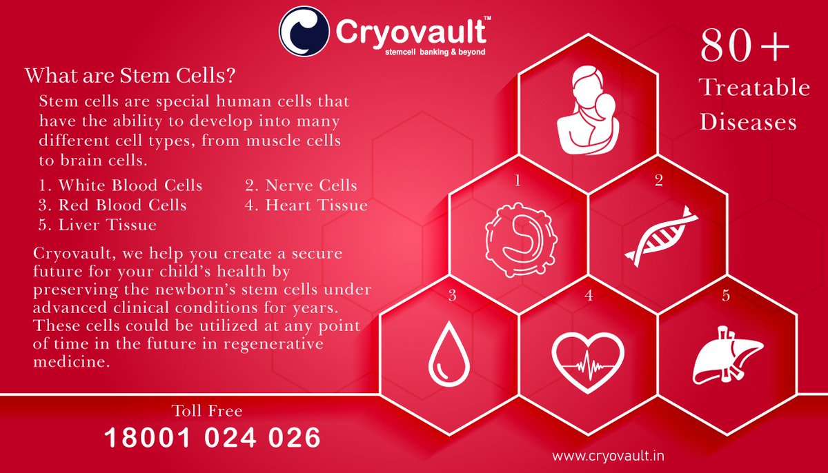 cryovault's tweet photo. What are Stem Cells?
Stem cells are special human cells that have the ability to develop into many different cell types, from muscle cells to brain cells
Visit:- https://t.co/7rhpNpCzdp
#cryovault #stemcelltreatment #stemcellbanking #india #savestemcellsafterbirth #largeststem https://t.co/Ojw6B9bn2z