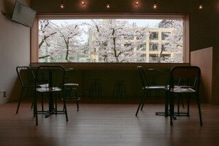 Mitsuwaya's tweet photo. 目の前の桜が満開を迎えそうです。
写真は女将が撮影。←ドヤ顔で写真送ってきました。
#桜満開 https://t.co/BSfrOah9if
