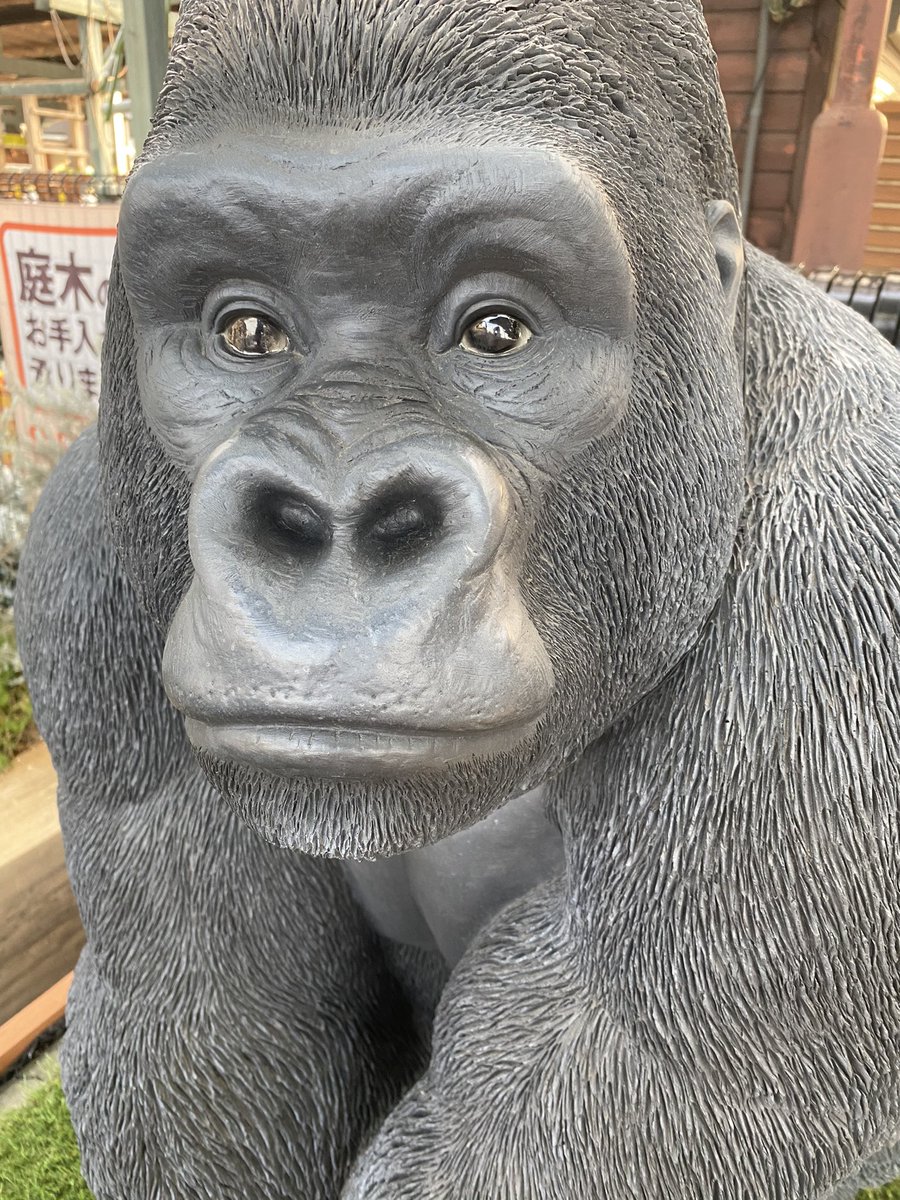 shungachandayo's tweet photo. 素敵な男性に出会ったの❤️
#今日から���リラ https://t.co/CoyaTqgIxX