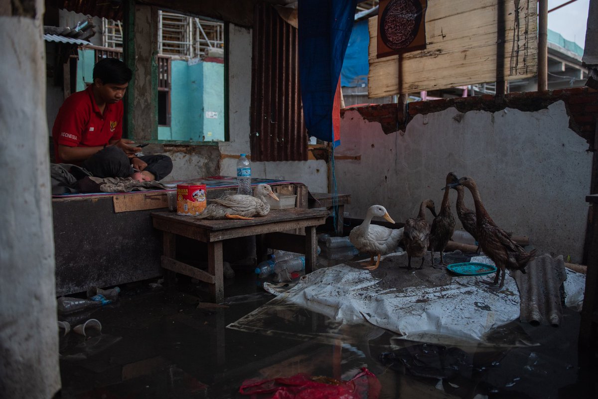 Bhagavad Sambadha tweet media