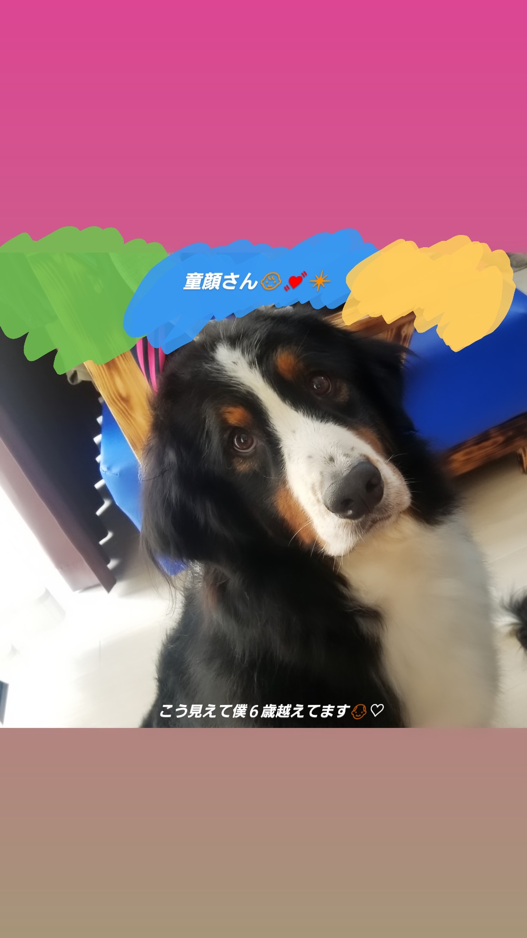 ほしゃまま cbmdh Twitter