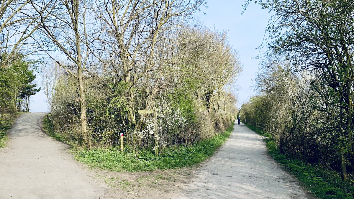 NDTW_NIP's tweet photo. Good Morning #Northumbria 🟨🟥 Choose the right path, take the Greggs-pill #FreeTheNorth #RisingSun #Benton #ForestHall #Palmersville #HadrianPark #BeaconHill #BattleHill #Wallsend #NorthShields https://t.co/1uNQACwZJV