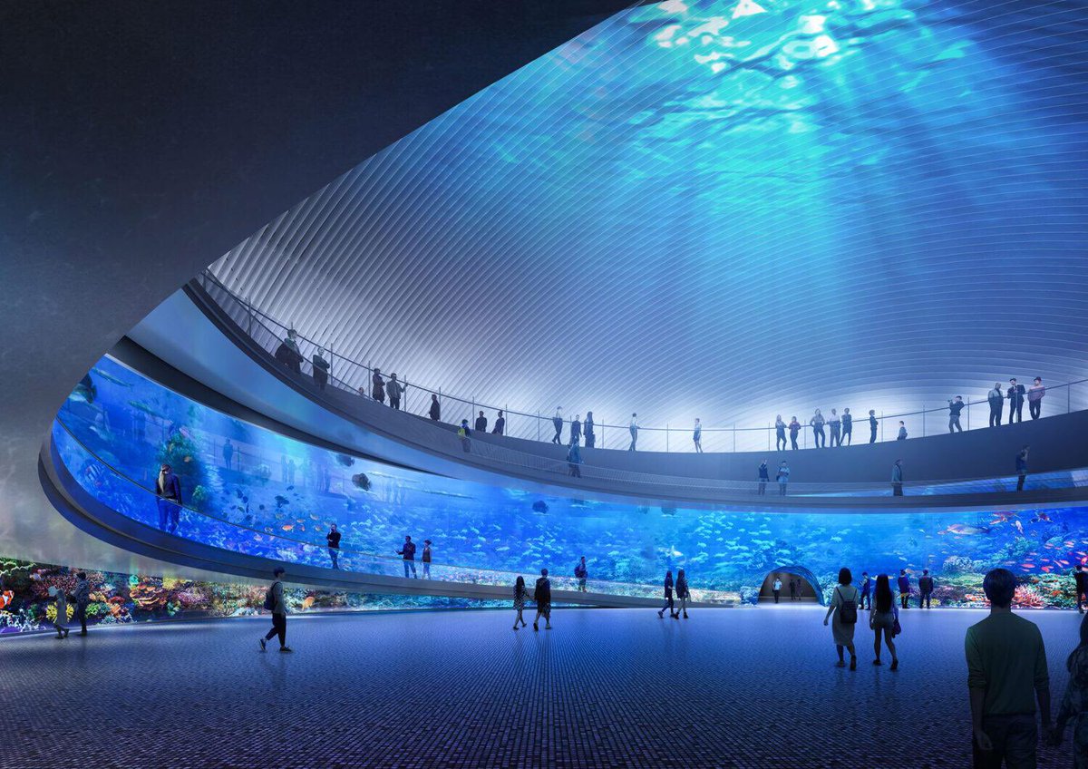 arquitect_viva's tweet image. Combinando elementos de la cultura local y el lugar donde se emplaza, el diseño evoca una nube ligera que emerge entre las montañas y el mar. Los espacios flexibles y continuos sin columnas experimentan con la alternancia del vacío y la solidez, las luces y las sombras.