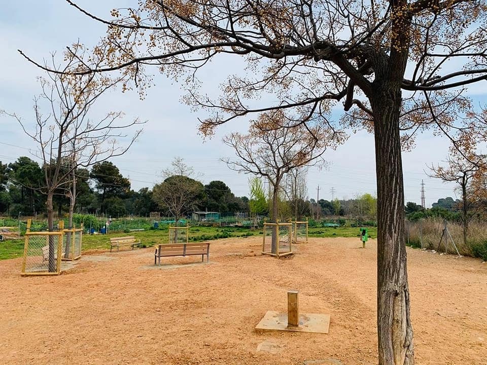 jordi_ballart's tweet image. Millorem l'espai de lliure circulació de #gossos de #LesArenes. Hi hem posat arbres, bancs, nous cartells informatius i papereres. L'actuació respon a la demanda de l'AAVV d'aquest barri per a convertir-lo en un indret més agradable, tant per als propietaris com pels animals.