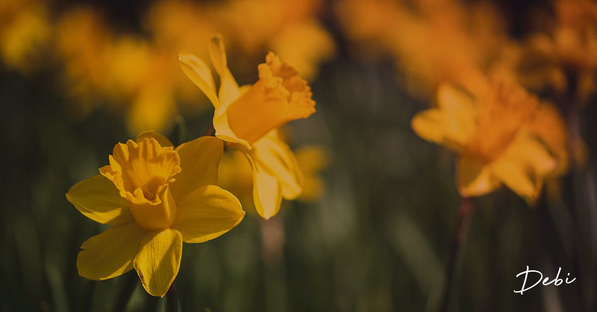 debiml01's tweet photo. Special thanks to colleagues @placesforpeople who will be continuing to provide support for our customers over the Easter weekend. Be kind, stay safe and Happy Easter. #PFPSpirit #ThankYou #StaySafe #HappyEaster https://t.co/rboB5fzUxH