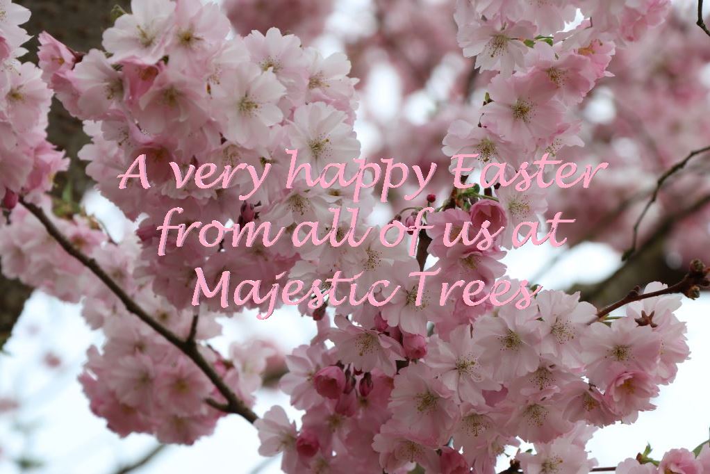 Opening hours during Easter:
Good Friday - Closed
Saturday - Open 10.00 to 17.00
Easter Sunday and Monday - Closed
Tuesday - Open as usual 8.30 to 17.00