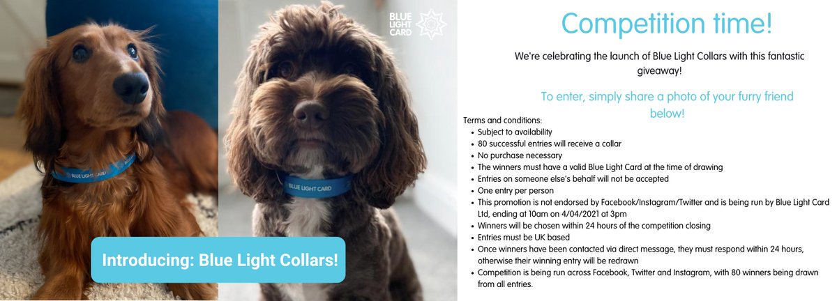 bluelightcard's tweet photo. Exciting news for all you 🐶 lovers!

To celebrate #NationalPetMonth, your furry friends can now get their own exclusive discounts when they show their Blue Light Collar!

Want to get your hands (or paws!) on one? Post a pic of your pooch below to be in with a chance of winning! https://t.co/BjUQEX0Z1p