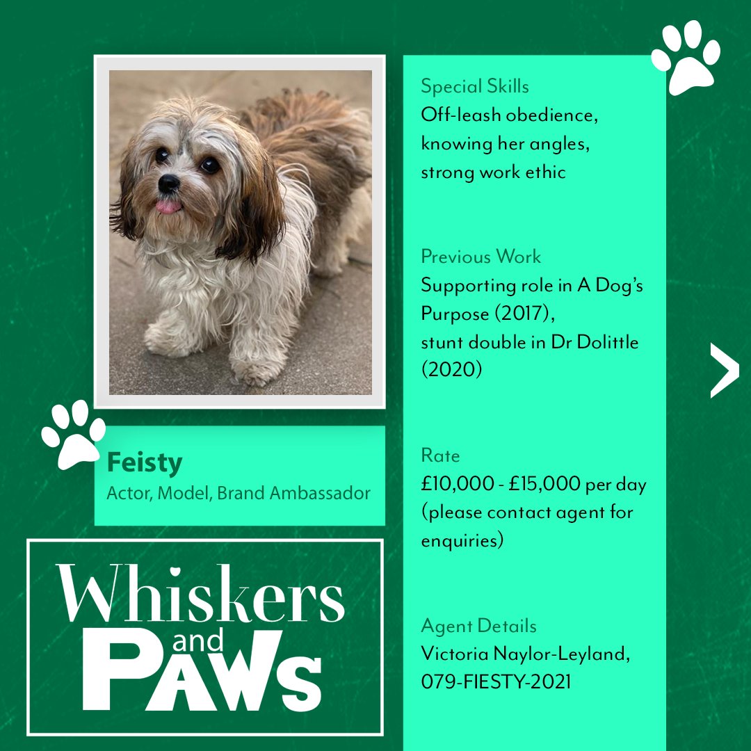 PembrokeAndRye's tweet photo. Today we're launching Whiskers and Paws, a new pet talent agency! 🥳

Services include: grooming advisory, bark and meow media coaching and catvertising.

Our fur-st clients are: 
🐶 Feisty 
🐱 Sully 

Find out more here: https://t.co/MfC728XQUI

#PRAgency https://t.co/fFbOy3Aaqy