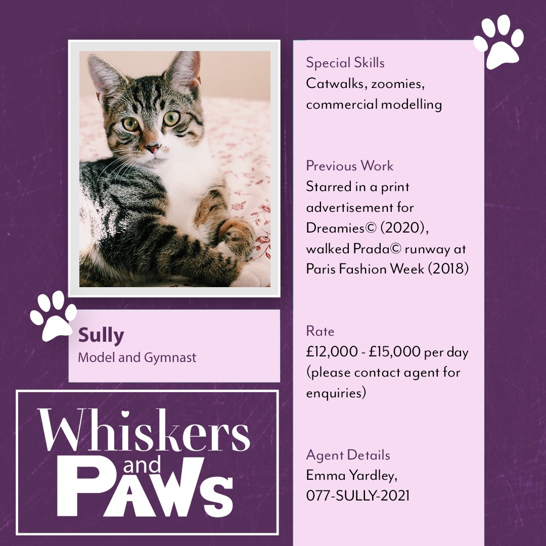 PembrokeAndRye's tweet photo. Today we're launching Whiskers and Paws, a new pet talent agency! 🥳

Services include: grooming advisory, bark and meow media coaching and catvertising.

Our fur-st clients are: 
🐶 Feisty 
🐱 Sully 

Find out more here: https://t.co/MfC728XQUI

#PRAgency https://t.co/fFbOy3Aaqy