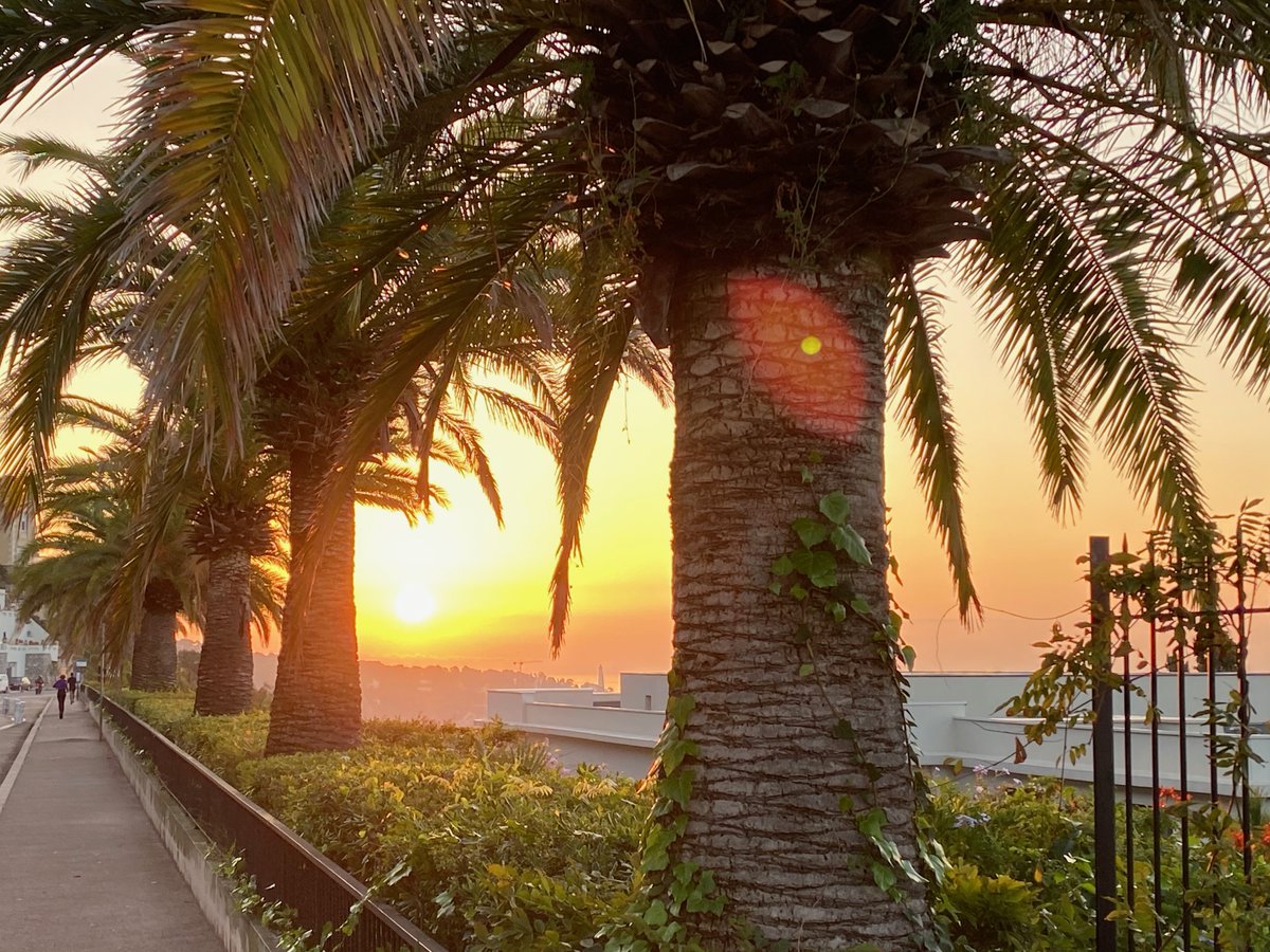 Morning in Nice! - Stay Strong Everyone - better days ahead ❤️
#stayyna #ILoveNice #Nice06 #Holidayrentals #Niceholidayhomes #PropertyManagement #HolidayHome #Booking #PropertyRental #Enquiry #BookNow #France #CotedAzur #ExclusiveProperties #Luxury #ExclusiveProperties