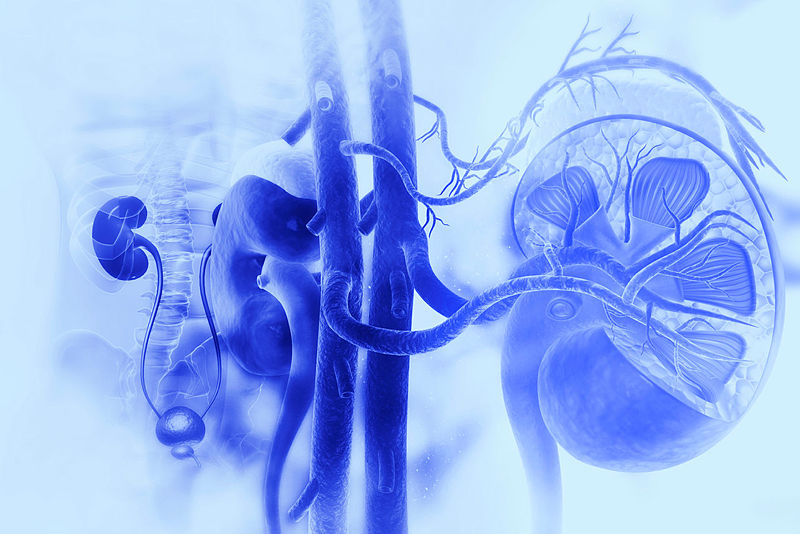ISRCTN's tweet photo. 12-month follow-up of the surveillance of arteriovenous fistulae in haemodialysis (SONAR) study. The SONAR-12M study on #ISRCTN by @SONAR_trial 

https://t.co/01T6XOqpHb

#Clinicaltrials https://t.co/uX7F5lXGXu