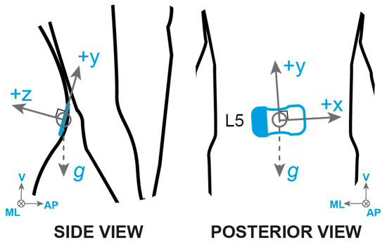 Sensors_MDPI's tweet photo. Augmenting Clinical Outcome Measures of #Gait and Balance with a Single #InertialSensor in Age-Ranged Healthy Adults
https://t.co/Yhpse2gXYT
#wearablesensors
#rehabilitation
#gaitevents
#gaitimpairment https://t.co/YD35mBZ04u