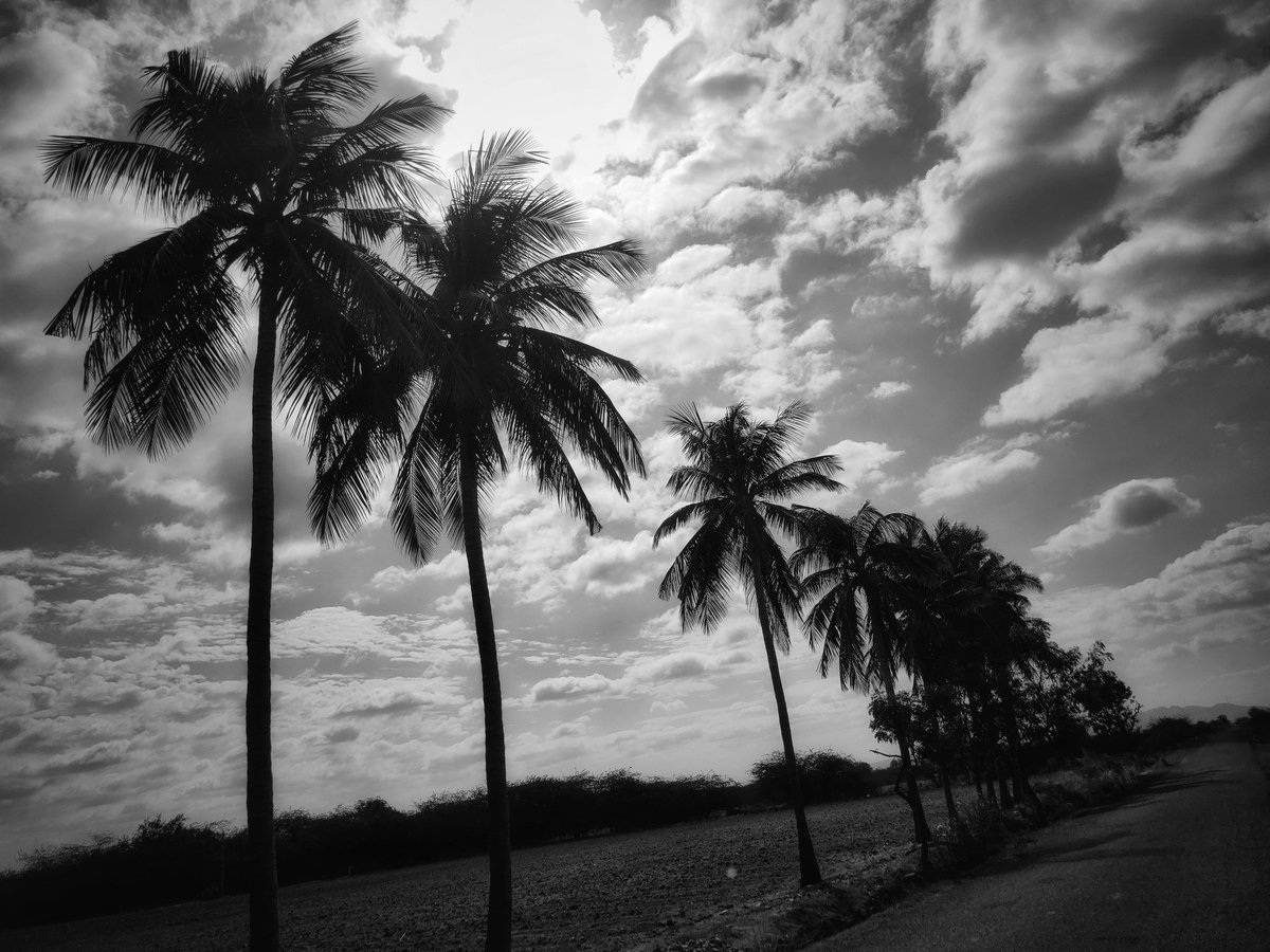 shivaparzival's tweet photo. Edited on : #photoshop
#realmephotography #shutterbugdivision #sky #snap_of_us #loveyourself #photopills #picoftheday @varunswayphotography #bnw_captures #bnwexperimentalism #puppies
#america #photooftheday #streetphotography https://t.co/mioxpl2NY2