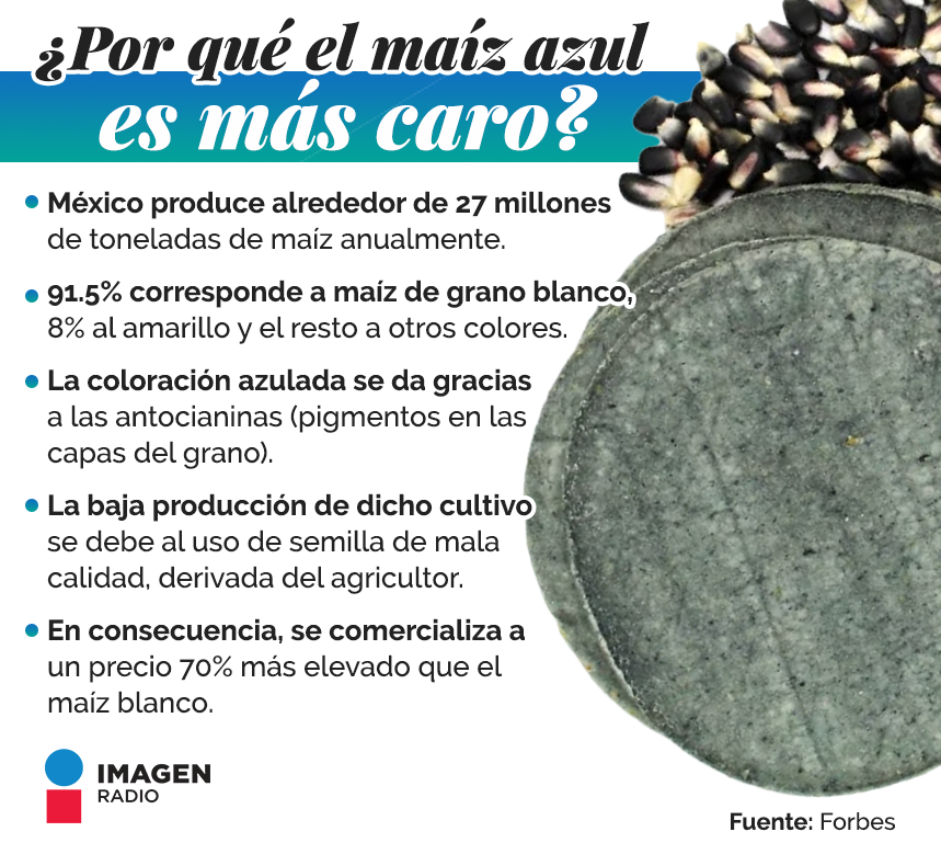 Imagen_Mx's tweet photo. 🌽💙 Maíz azul, otra delicia mexicana. https://t.co/si5zktJjOd