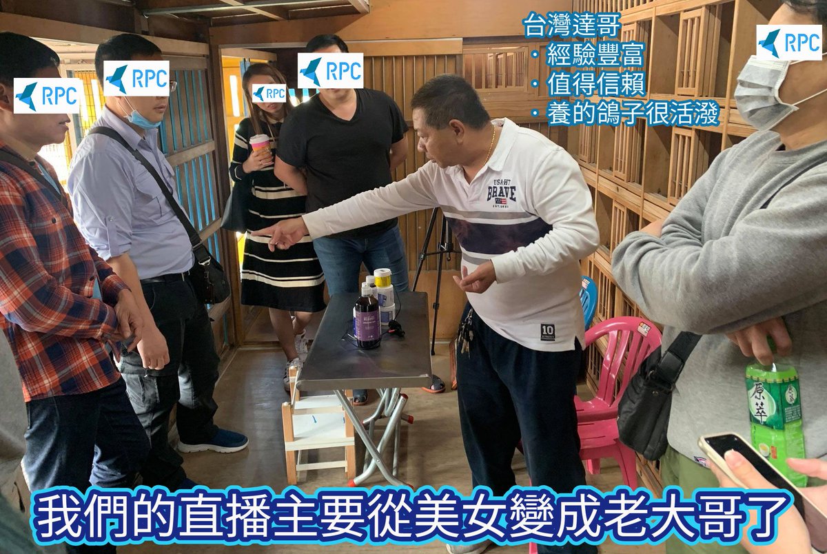 ChainPigeon's tweet photo. I’m sorry to inform you that there is no live broadcast today.
At present, RPC decided to cooperate with Zeng Wenda on the live broadcast project.
After the details are decided, they will be presented to you in a new look.
Stay tuned~

#RPC #reallife #cooperate #pigeon #live https://t.co/x5yzmRccgL