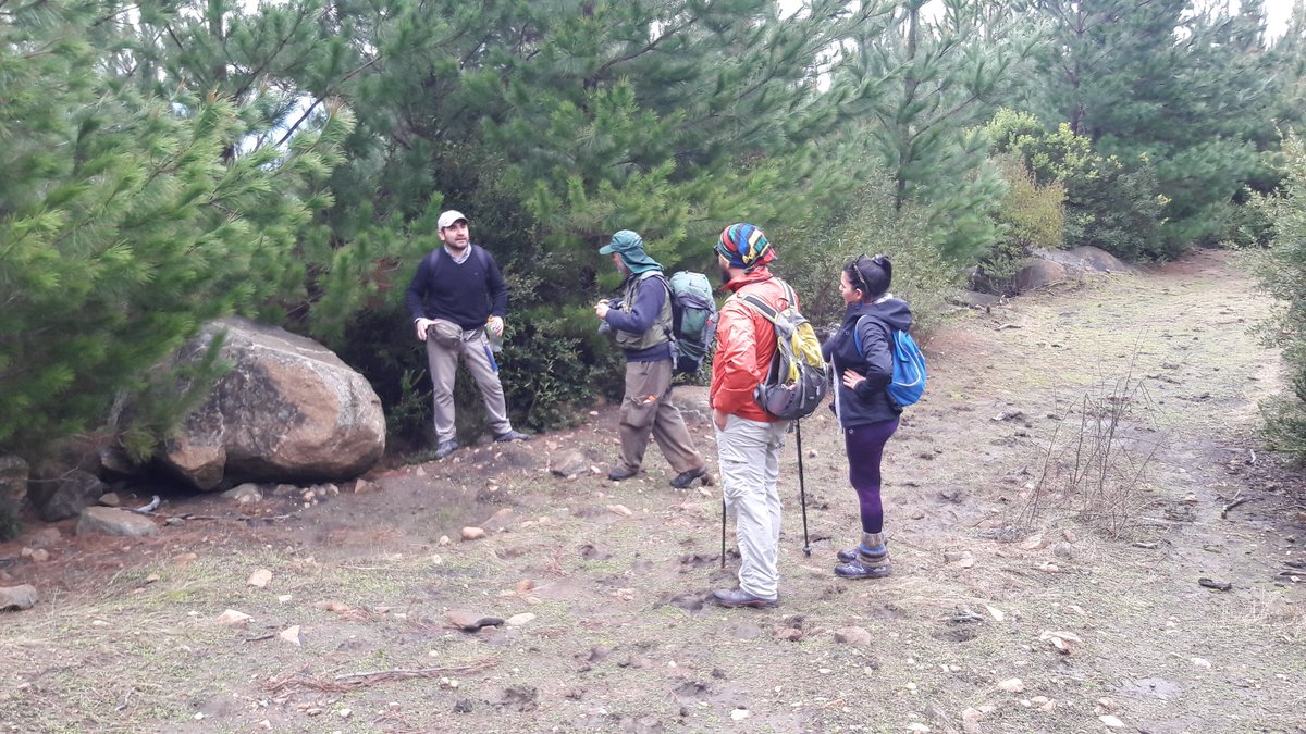 ItataMuseo's tweet photo. El patrimonio cultural y su vinculación con nuestros espacios naturales considerando nuestra Flora y fauna es también un interés que esperamos seguir desarrollando a través de #AscensoCoiquén una vez que pasemos estos tiempos de #Covid19Chile 
Para compartir nuevas experiencias. https://t.co/gBKWbCztJV