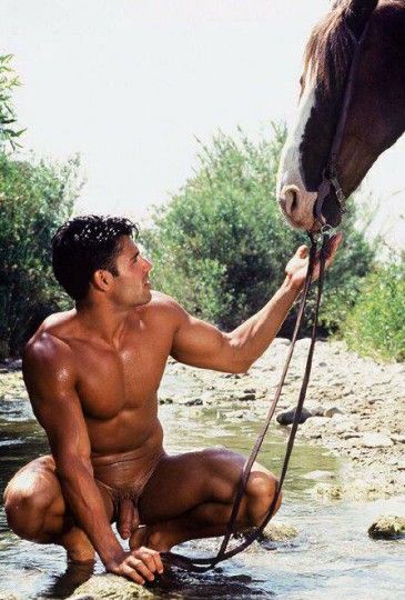 men & horses for my. #thursgay. pic.twitter.com/bqnv2BJyye. happy. #twi...