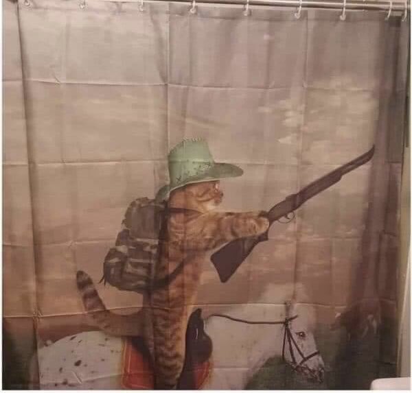 activistwendy's tweet photo. @TheRoaringKitty It’s a shower curtain,  but still appropriate. Kitties gotta bring out the big guns when necessary. https://t.co/5nB6s7OSWb