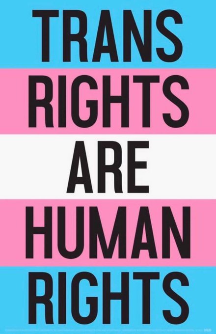 Happy International Transgender Day of Visibility! https://t.co/gKFCitmvqi<a href="/tag/electrosluts"class="tags"><span>#electrosluts</span></a>