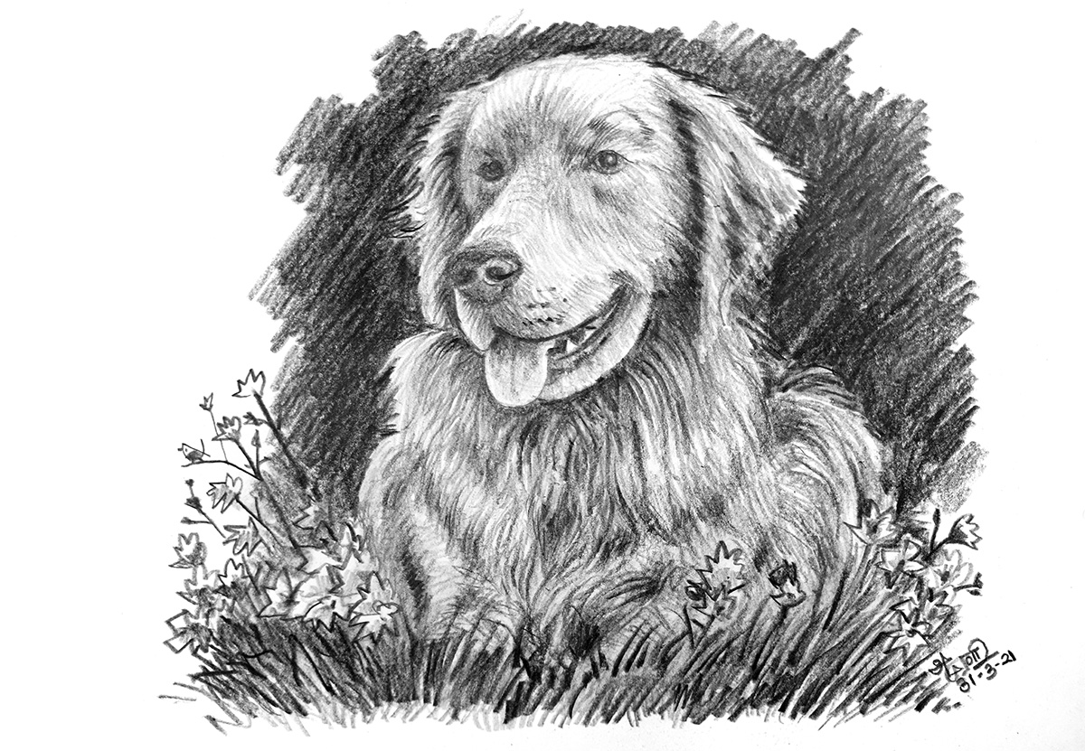 MuralidharanAl1's tweet photo. Best friend | Sketching video - https://t.co/dHC2SIeuhP
A4, 8B, EE Staedtler Pencils
#Cuckooo #OnlineArtClass #SketchingDemo #Dog #GoldenRetriever #Puppy #animal #Friend #Pencil #Sketching #pencilsketch #pencildrawing #art https://t.co/eVuGVYxO1K