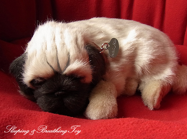 ぬいぐるみ専門店 ニニアンドキノ Niniquino Twitter