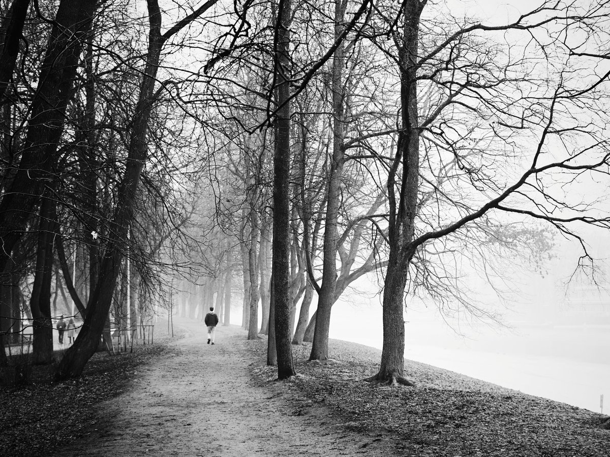 pora_provetrit's tweet photo. #nikonz50 #vsco #7artisans @7artisans https://t.co/FgnyaBWiTX