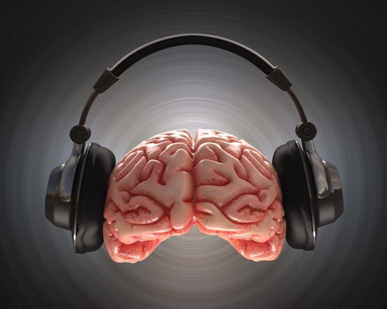 #Neuroscientists Uncover Why the #Brain Enjoys Music
For Details: