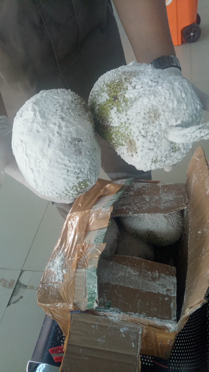 karantina_PBD's tweet photo. Buah sukun milik bapak Julito Domeng sebanyak 6 Kg, siap berangkat ke Jakarta setelah dilakukan pemeriksaan oleh petugas Karantina Tumbuhan Wilker Bandara DEO Sorong. Sorong (01/04).

#patuhkarantina
#karantinapertaniansorong https://t.co/2pa3KXjPot