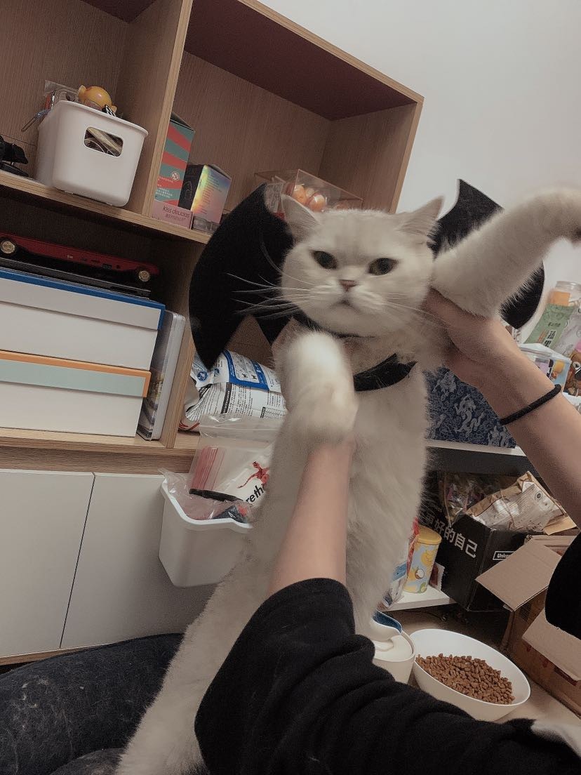 暖暖包用完丟哪裡？