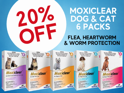 formypetz's tweet photo. APRIL deals for Dogs &amp; Cats - https://t.co/n3BPpQMAt5 https://t.co/TuV0f0cIZ8