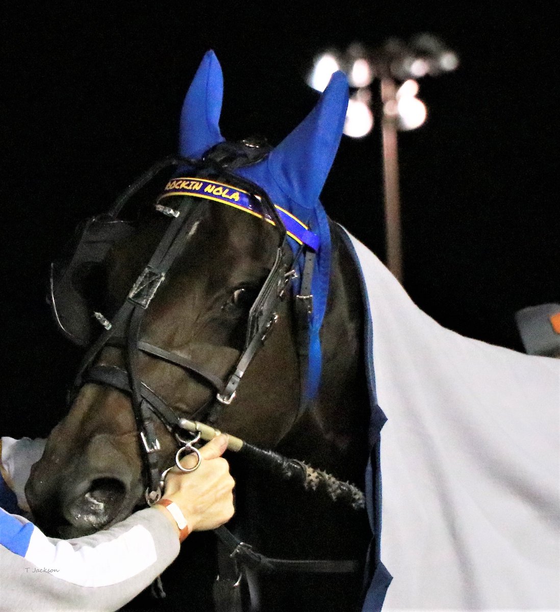 hoosiernations's tweet photo. Hoosier's story-line update:
#BridgeToJesses (4x ISS champ) 2nd qualifier yesterday in 1:55.3. The new millionaire qualified last week 1:58.3 
#RockinNola (3x ISS champ) 2021 debut Saturday @HoP_Racing r12 pp7 @joeyputnam13 listed on 2 horses for the race???<---Yikes!!!🙄 https://t.co/VKJIAZjX0i