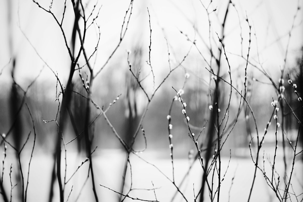 pora_provetrit's tweet photo. #nikonz50 #vsco #7artisans @7artisans https://t.co/0plltEvBAC