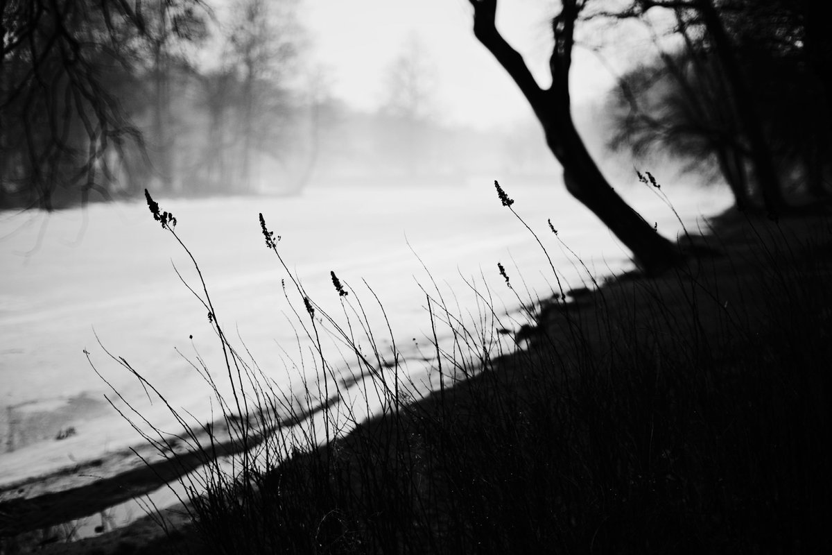 pora_provetrit's tweet photo. #nikonz50 #vsco #7artisans @7artisans https://t.co/0plltEvBAC