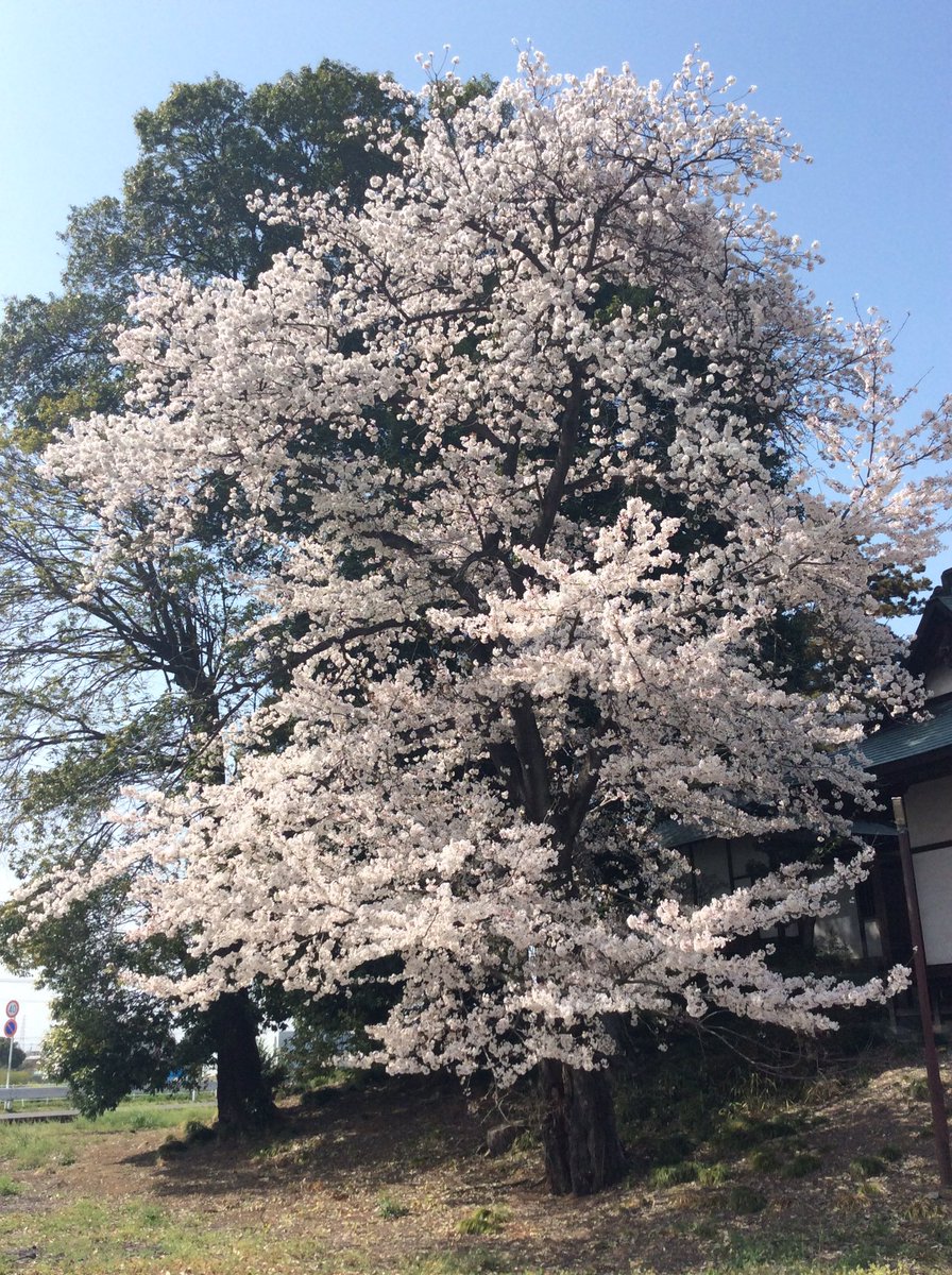 前橋市保健所 前橋市保健所