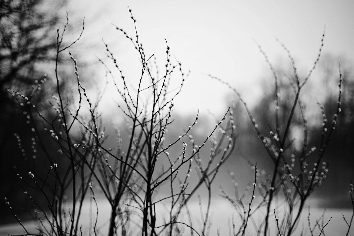 pora_provetrit's tweet photo. #nikonz50 #vsco #7artisans @7artisans https://t.co/0plltEvBAC
