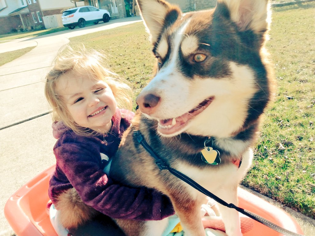 Gabby_tyler2's tweet photo. Some updated Riley pictures. She's getting too big I swear. I love her so much #rileybug #mommasbaby #ilovebeingyourmom #youcompleteme https://t.co/h3T6nkO4QX