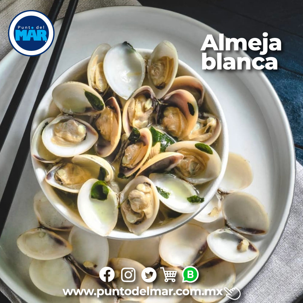 puntodelmar's tweet photo. ⚠️ 🔝Hasta el 03 de Abril obtén el 🔴 15% de descuento en toda nuestra tienda en línea!! Checa nuestra deliciosa receta de almejas blancas con vino blanco🥂😋 https://t.co/XS9CclJBU0 https://t.co/sJVXKLnZlf https://t.co/YZc0cZyVO3