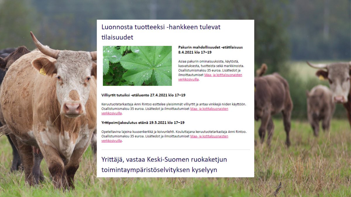 Maaliskuun Aito maaseutu Keski-Suomessa -uutiskirje on julkaistu! Asiaa mm. maaseudun kehittämishankkeista ja ruokaketjun toimintaympäristöselvityksestä. 

HUOM. Amazing Keski-Suomi 2021 -tapahtuma on päätetty siirtää tulevaan syksyyn.

Lue uutiskirje👉bit.ly/aitomaaseutu03…