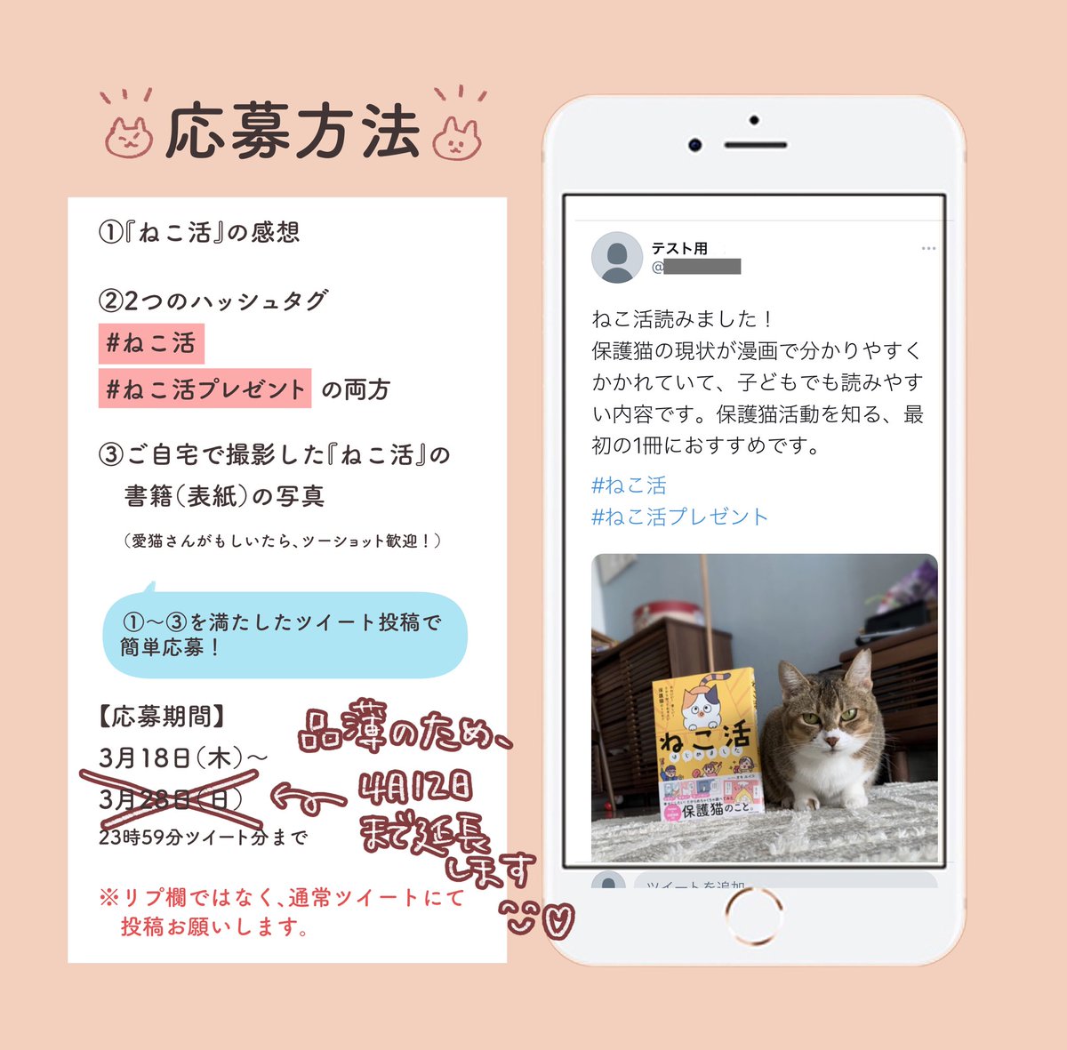 【延長】
ねこ活重版キャンペーン、たくさんの応募ありがとうございます!
3月末〆の予定でしたが、Amazonずっと売り切れでまだ買えてないという声が多く、4月14日まで延長する事になりました!
全国の書店、Amazon以外の楽天ブックスなどでも購入いただけます。
ぜひぜひ応募してください?
#ねこ活 