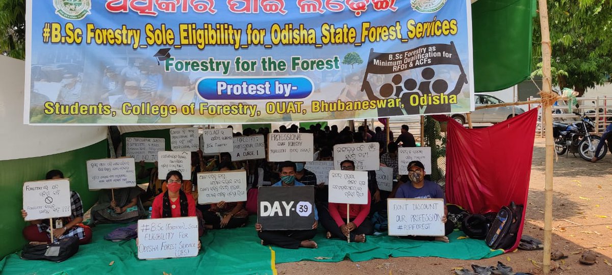 CollegeOuat's tweet photo. Day 39
#BSc_Forestry_Sole_Eligibility_for_Odisha_State_Forest_Services
@Naveen_Odisha @CMO_Odisha @BKArukha @dr_arunsahoo @MoSarkar5T @PrakashJavdekar @ForestDeptt @pccfodisha @ifs_odisha @otvnews @Kalingatv @News18Odia @NandighoshaTV @kanak_news @AprajitaSarangi https://t.co/jYG2lgWRYm