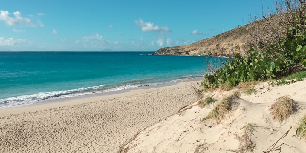 BucketListVilla's tweet photo. ♥♥♥ St Barth ♥♥♥
.
Book Ur Stay ► https://t.co/NtCJoo0OpS
.
@bucketlist_sbh @stbarthtourism #luxuryrealestate  #bucketlistvilla #bucketliststbarth  #stbarts  @LavergneEugenie #island #tourism #caribbean #realestate #stbarth #travel #beach #bestdestination https://t.co/KudaCGmab7