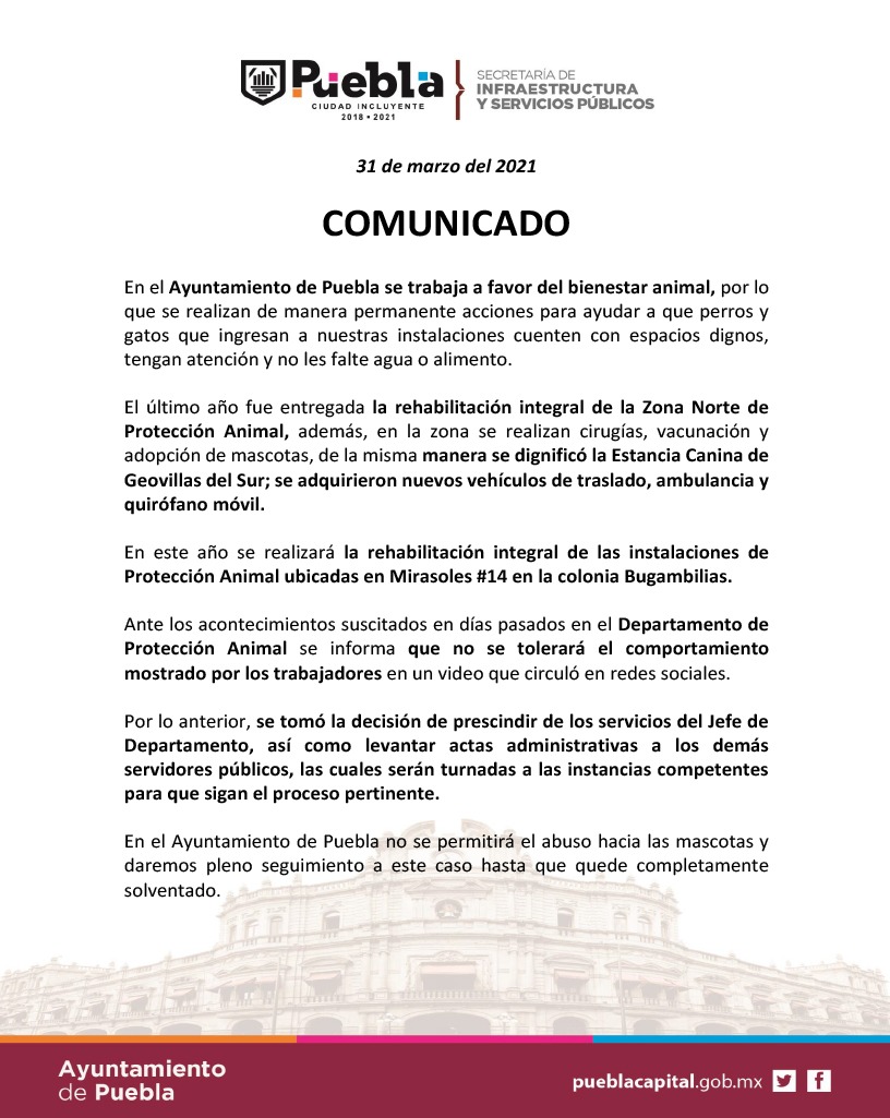 🐾ActivistaMX🌎 tweet media