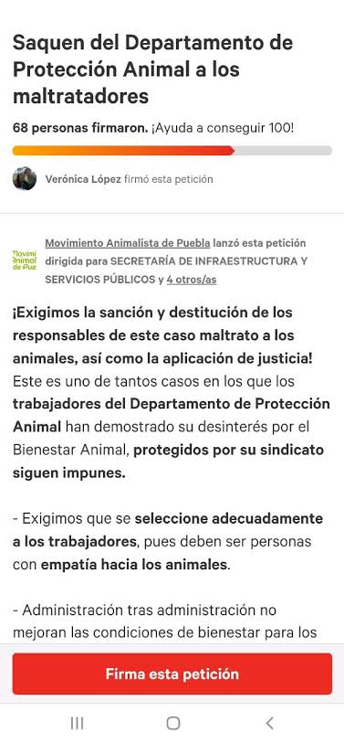 🐾ActivistaMX🌎 tweet media