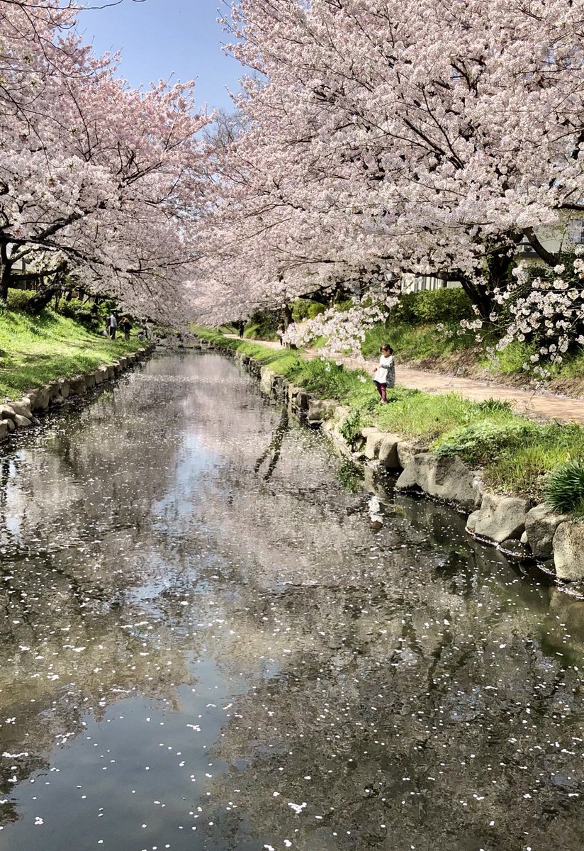 元荒川 元荒川