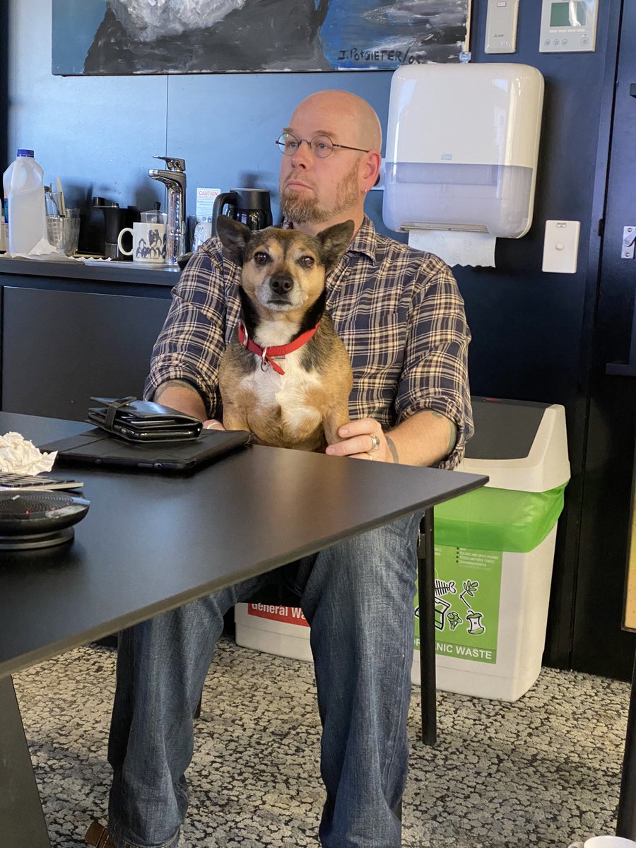 JessieTheLabDog's tweet photo. It’s not easy running the @GlobEcoFlinders lab meetings... but someone has to do it (@conservbytes) https://t.co/Ho4psgzFZe