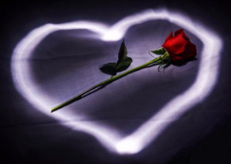 Y11Yy's tweet photo. '

انت ِ صباحي و انت ِ احلى من الصبح
ياشمس كوني و يا لحن كل عصفور
ياقهـوة العاشـق ... و يا زايـد الربـح
يالهـفة الضامـي ... ويا سيـد الحـور

'
#ياسر_البرقاوي https://t.co/zwuvGlKyqM
