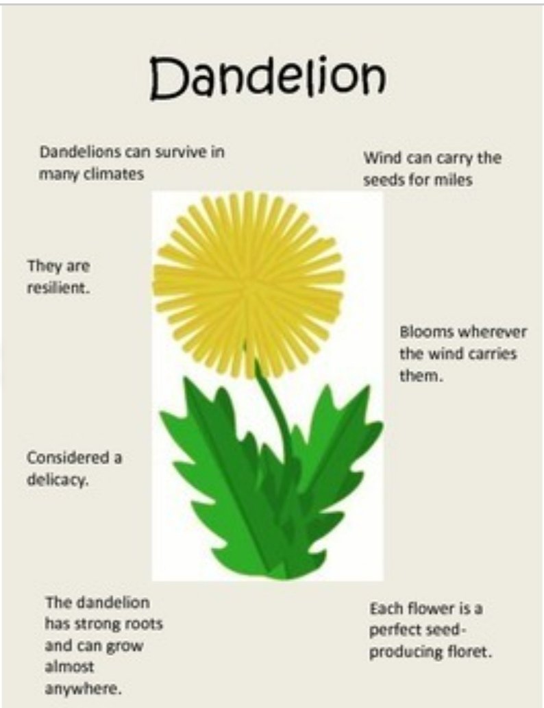 Military Child Dandelion Quote Shelly 👂❤️ On Twitter: "April Is The Month Of The Military Child ❤️ Over The Next 30 Days I'll Be Sharing An A-Z Of Military Life And Resources To Help School Staff Military Child Dandelion Quote Shelly 👂❤️ On Twitter: "April Is The Month Of The Military Child ❤️ Over The Next 30 Days I'll Be Sharing An A-Z Of Military Life And Resources To Help School Staff