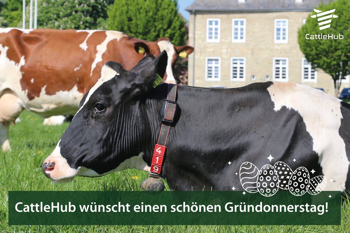 CattleHub's tweet photo. Die landwirtschaftliche Praxis braucht Lösungen für den intelligenten Einsatz von Assistenzsystemen! Dazu müssen Schnittstellen zwischen Systemen geschaffen werden. Weitere Infos: https://t.co/iZya8HzSmX
#cattlehub #Rinderhaltung #Digitalisierung  #Landwirtschaft  #smartfarming https://t.co/SEPDG3uMWC